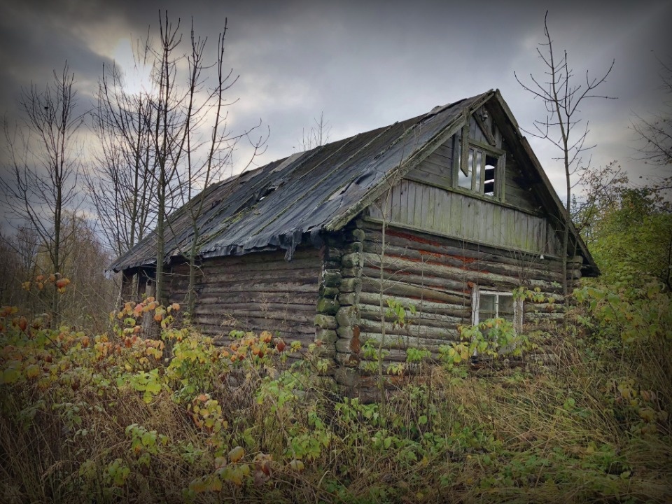 Владимир Бумаков: Я делаю историю об этом месте и времени