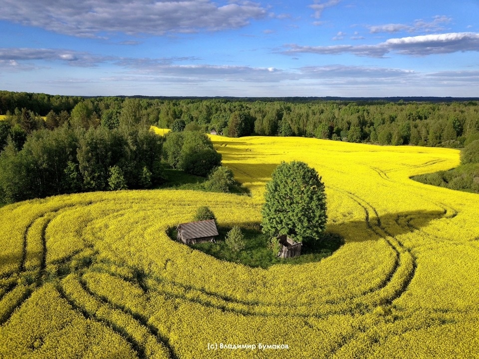 Владимир Бумаков: Я делаю историю об этом месте и времени