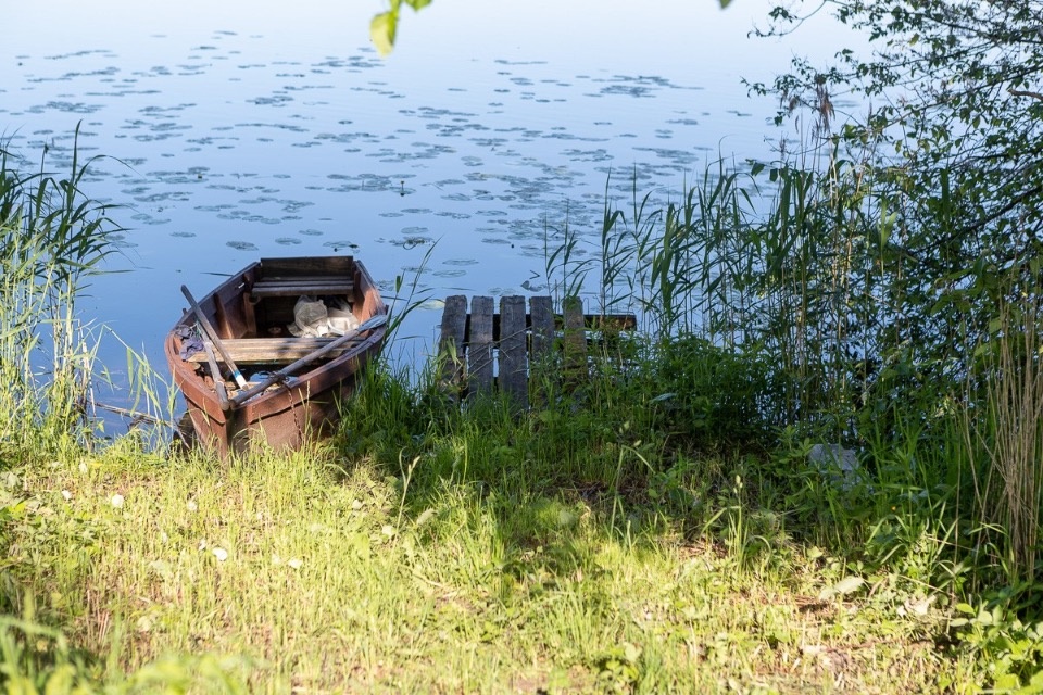 Михаил Ведерников поручил подготовить предложения по созданию молодежной базы в Себежском районе