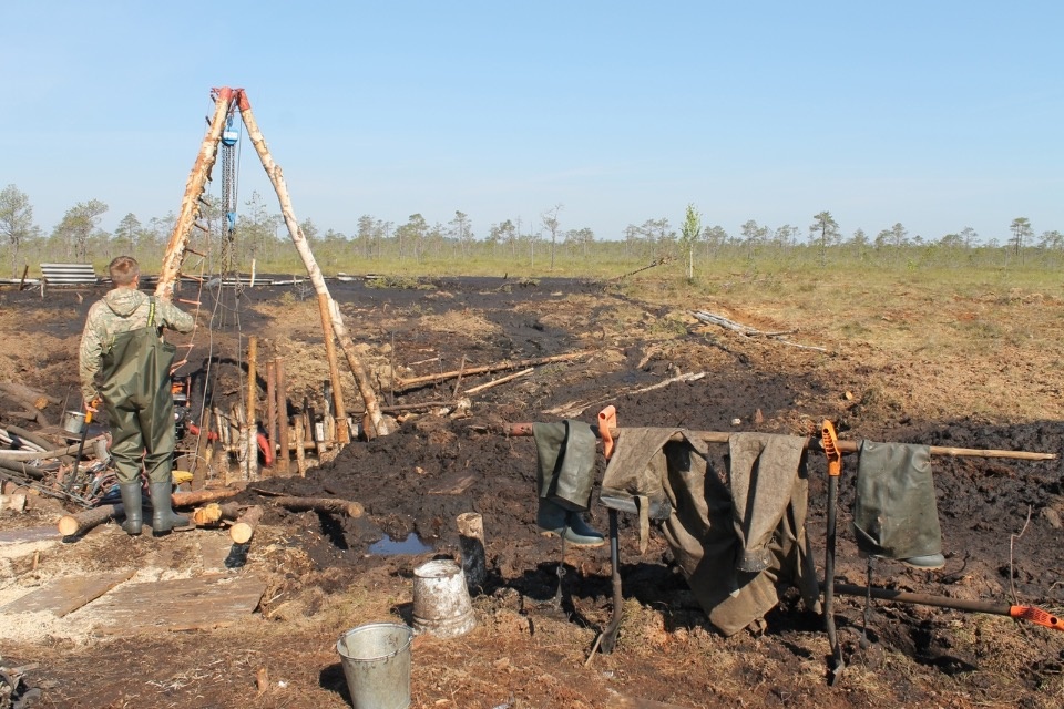 Подшлемник и часть комбинезона пилота нашли псковские поисковики на месте крушения советского самолета ИЛ-2