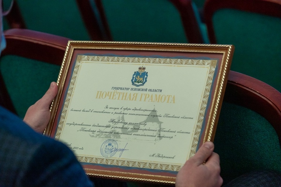 В преддверии Дня России Михаил Ведерников вручил псковичам награды 