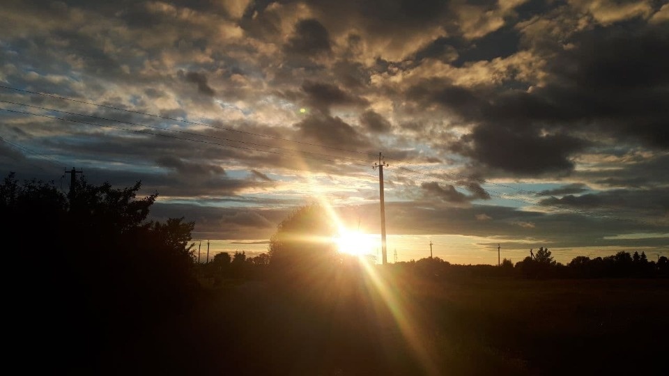 До 24 градусов тепла ожидается в Псковской области 14 июня