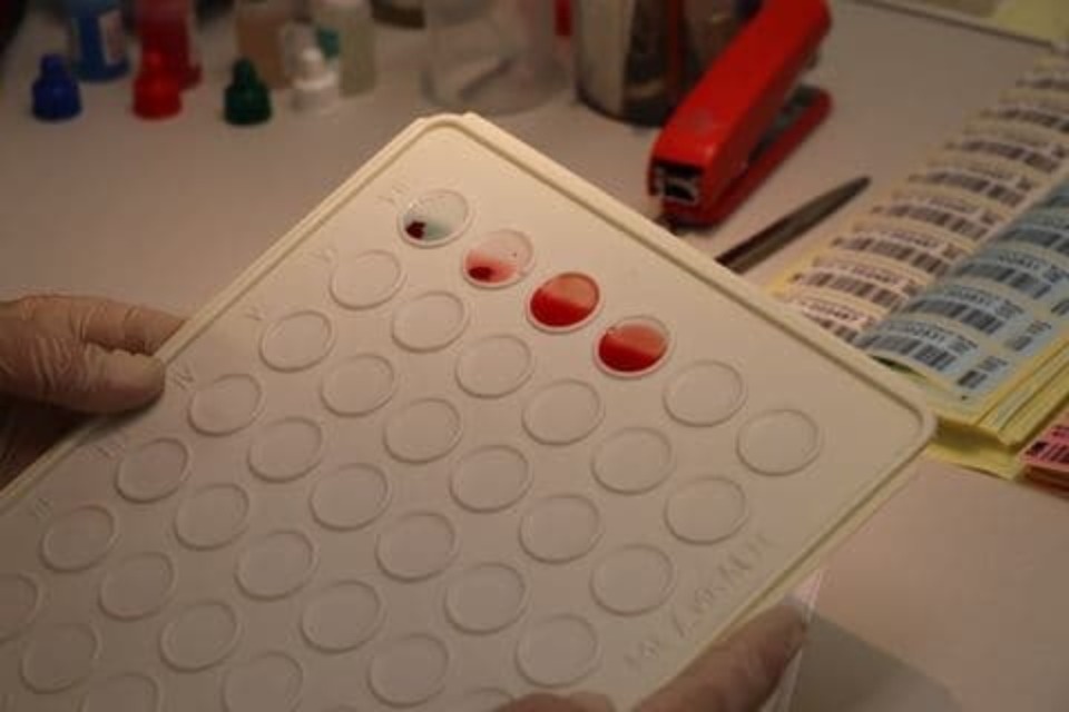 Михаил Ведерников поблагодарил псковских доноров 