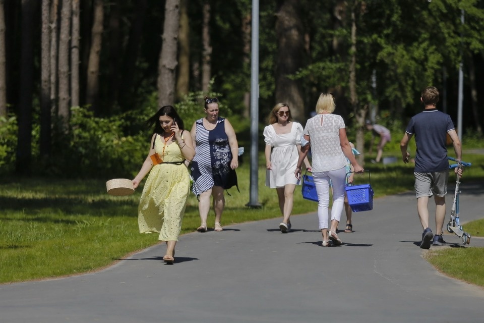 Парк летнего периода Парк летнего периода
