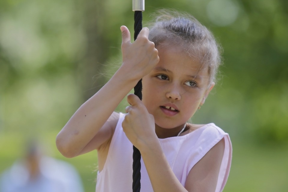 Парк летнего периода Парк летнего периода