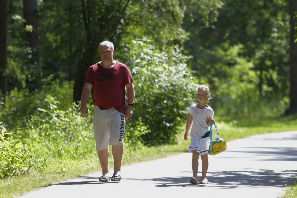 Парк летнего периода Парк летнего периода