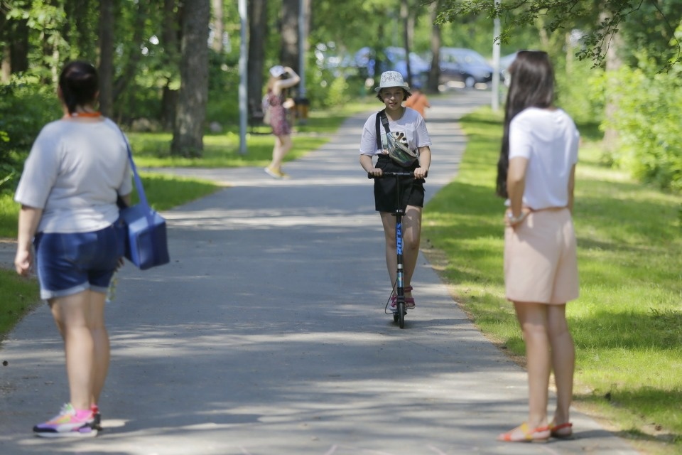 Парк летнего периода Парк летнего периода