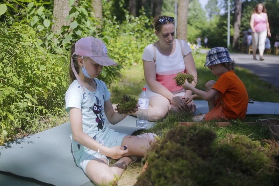 Парк летнего периода Парк летнего периода