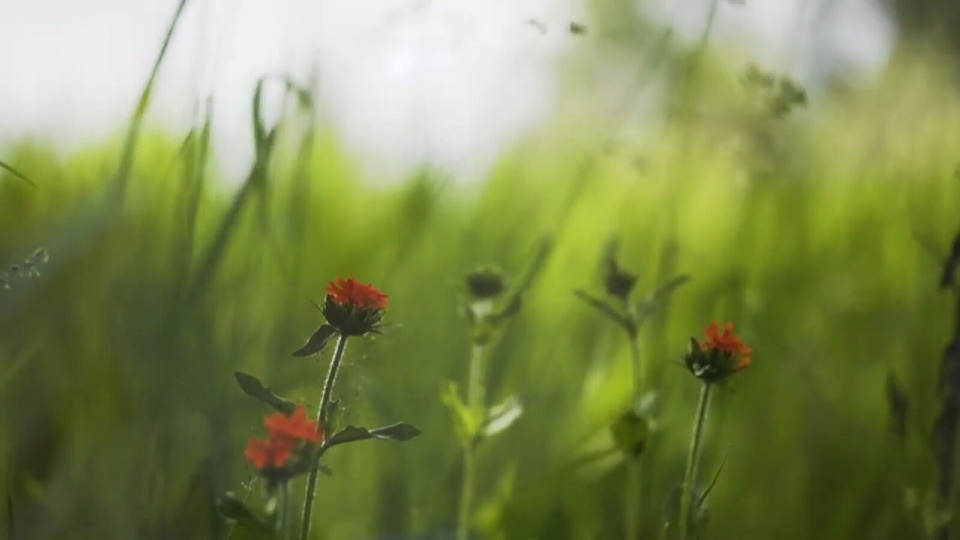 «И те и другие сказали: «Крутое кино»