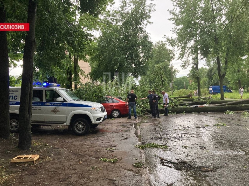 По югу Псковской области прошёл сильный ураган 