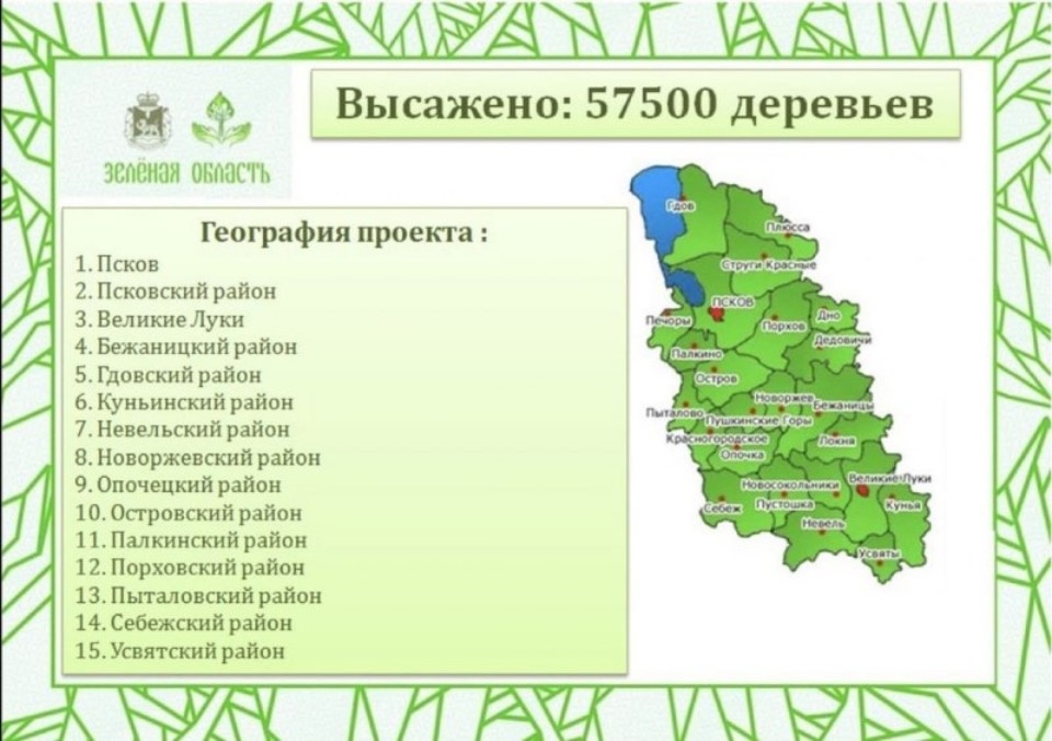 Более 57 тысяч деревьев высадили на территории Псковской области
