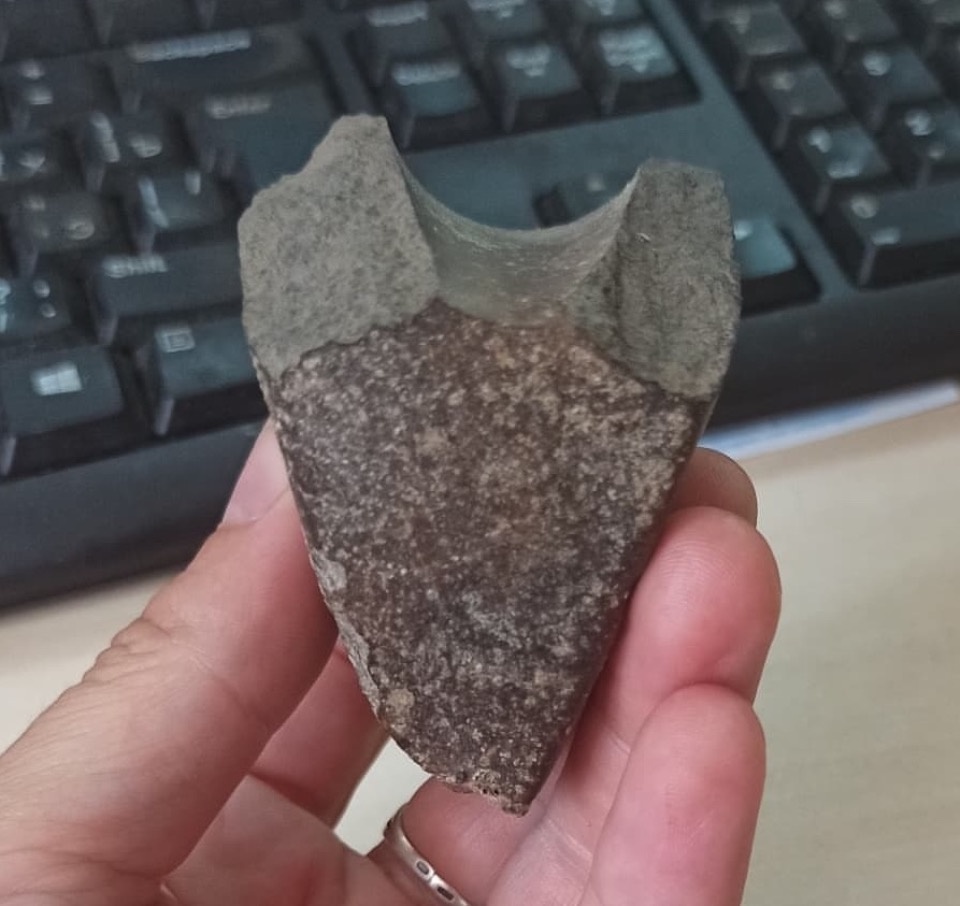 Псковские археологи нашли фрагмент неолитического каменного топора