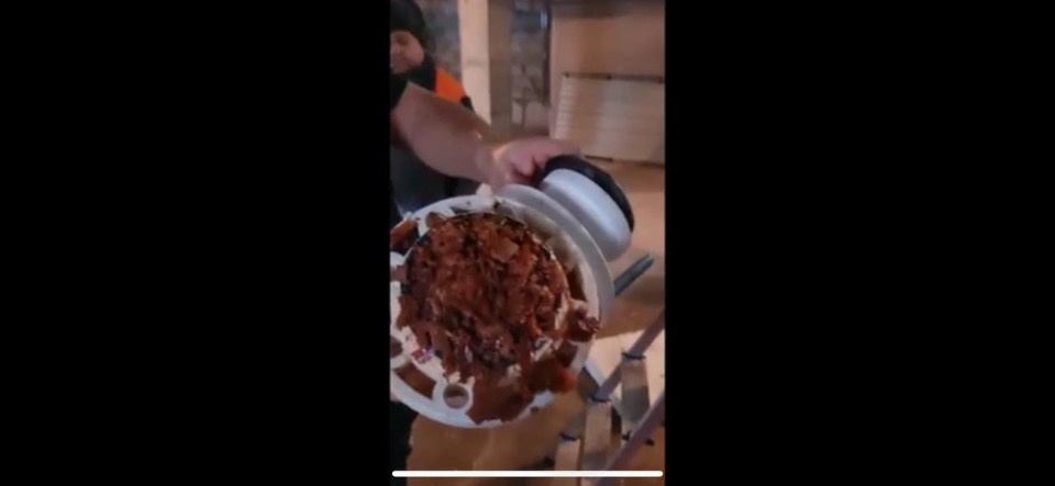 Путин пообещал, что источники финансирования для решения вопроса с чистой водой в Пскове будут найдены