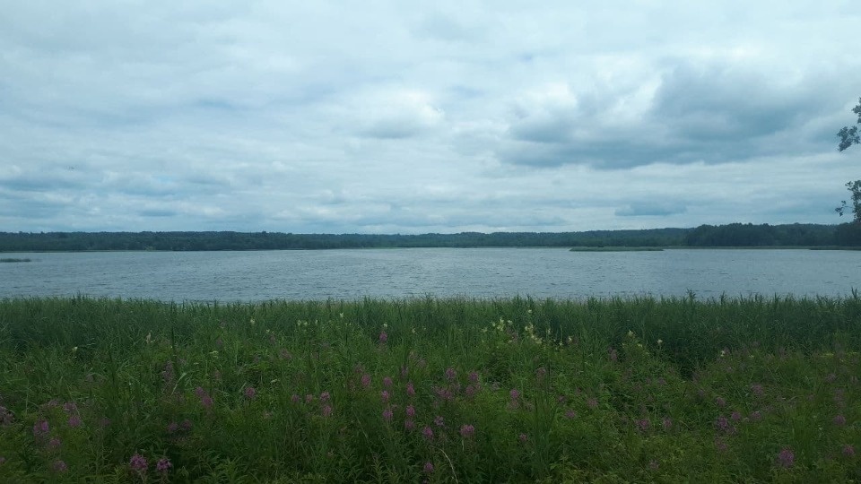 До 30 градусов прогреется воздух в Псковской области 6 июля