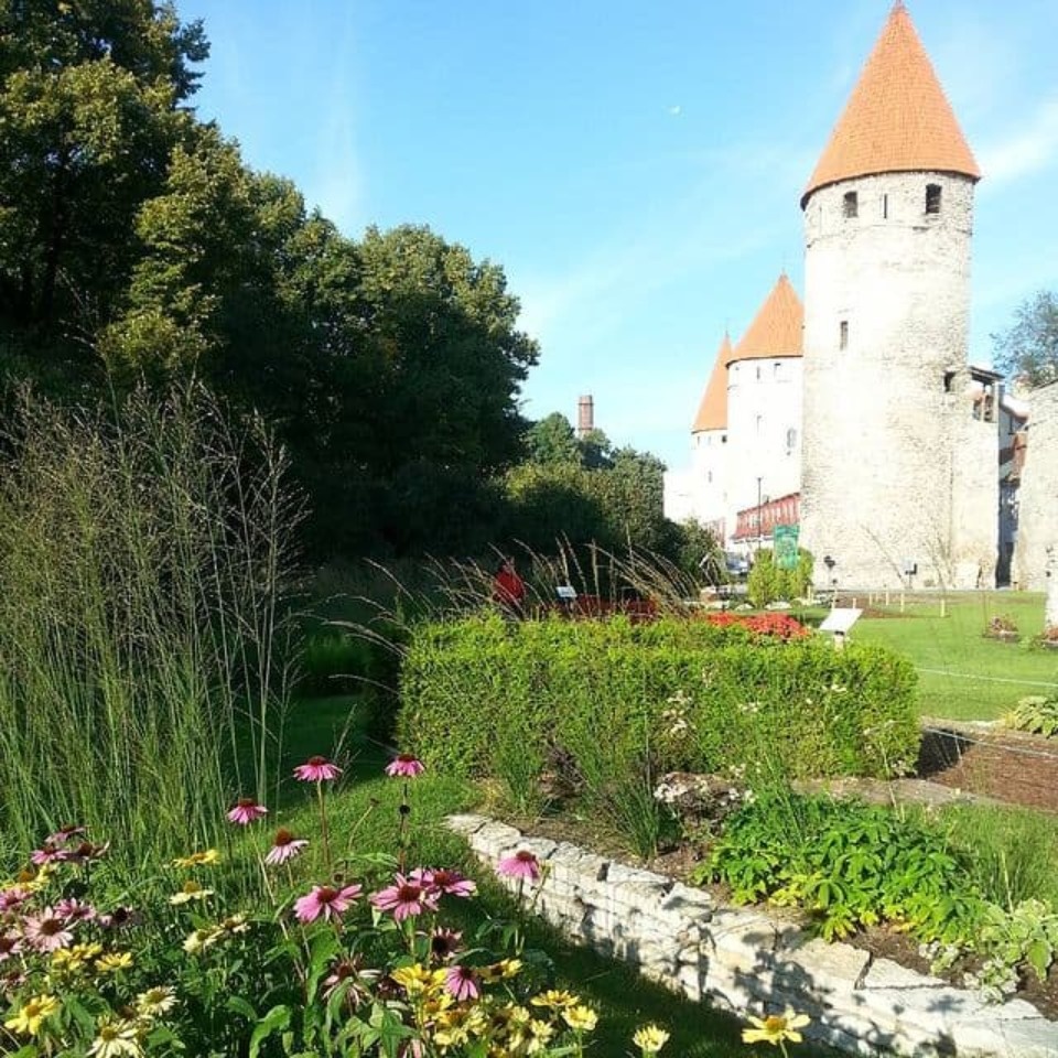 Привитые псковичи могут посетить Эстонию на 24 часа 