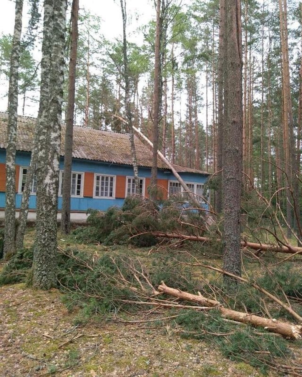 Жители пострадавших от июньского урагана районов Псковской области получат компенсацию