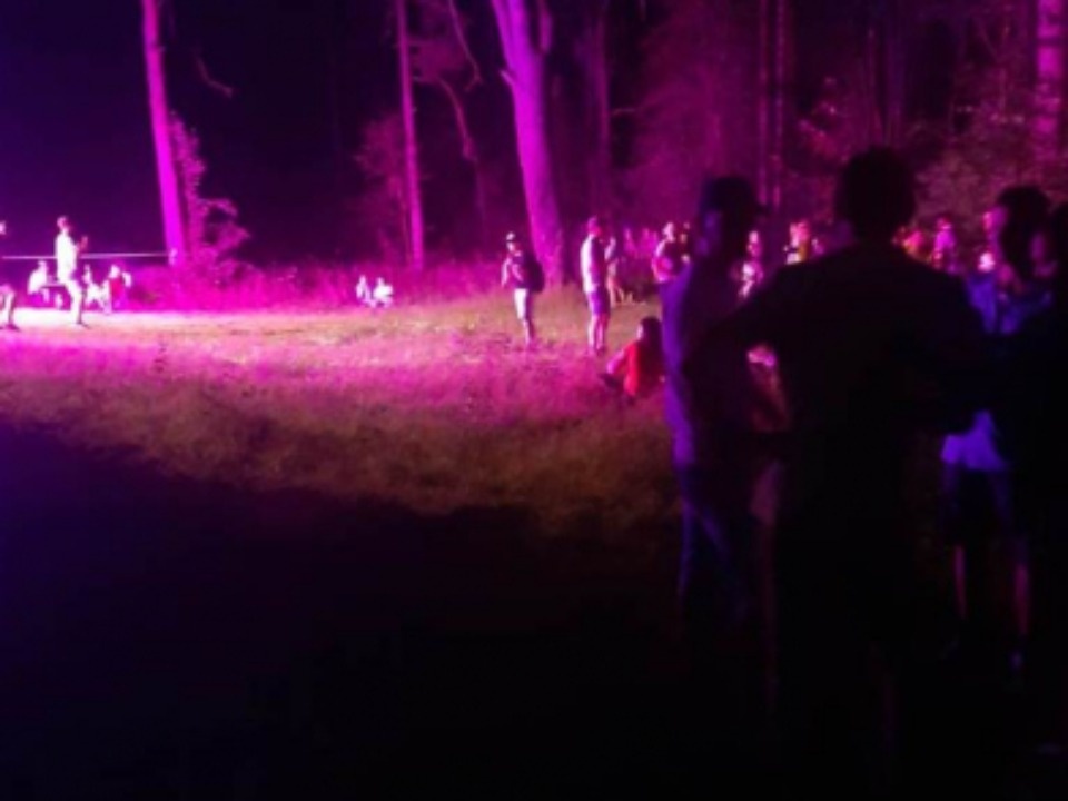 Незаконную дискотеку в лесопарке обнаружили псковские полицейские 