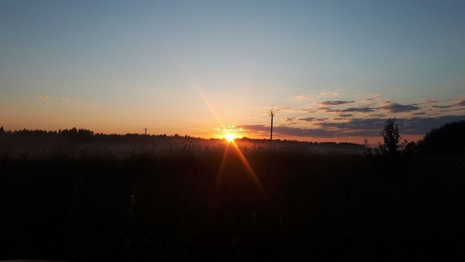 Дожди и 33 градуса тепла прогнозируют в Псковской области 14 июля