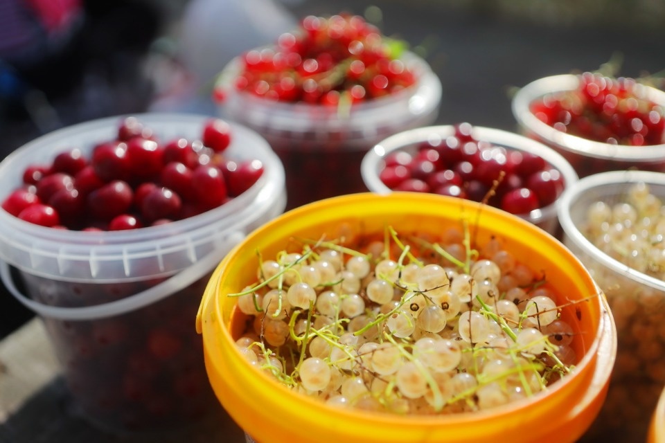 Рыночные отношения Рыночные отношения