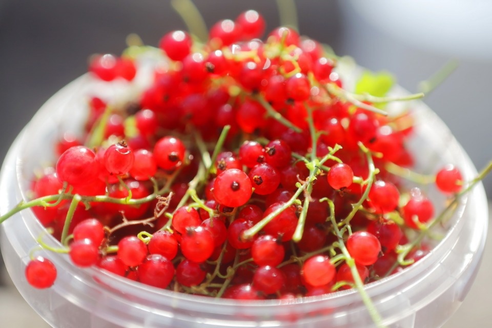 Рыночные отношения Рыночные отношения