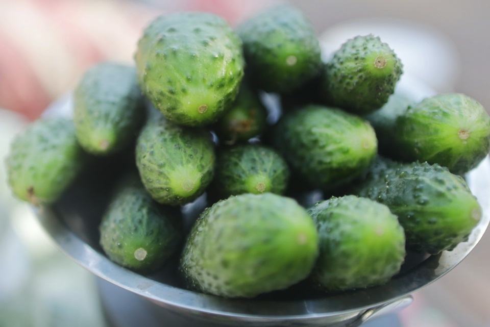 Рыночные отношения Рыночные отношения