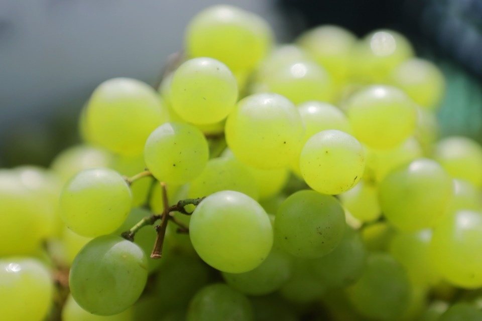 Рыночные отношения Рыночные отношения