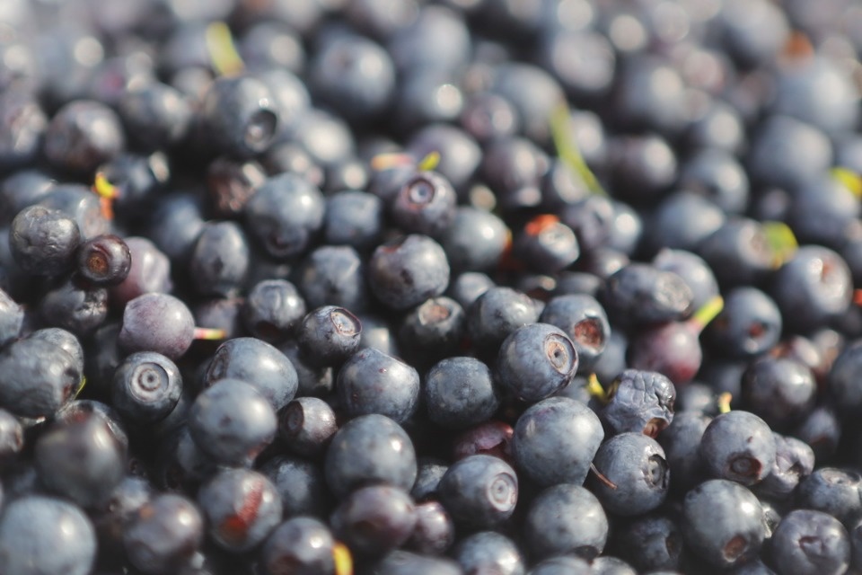 Рыночные отношения Рыночные отношения