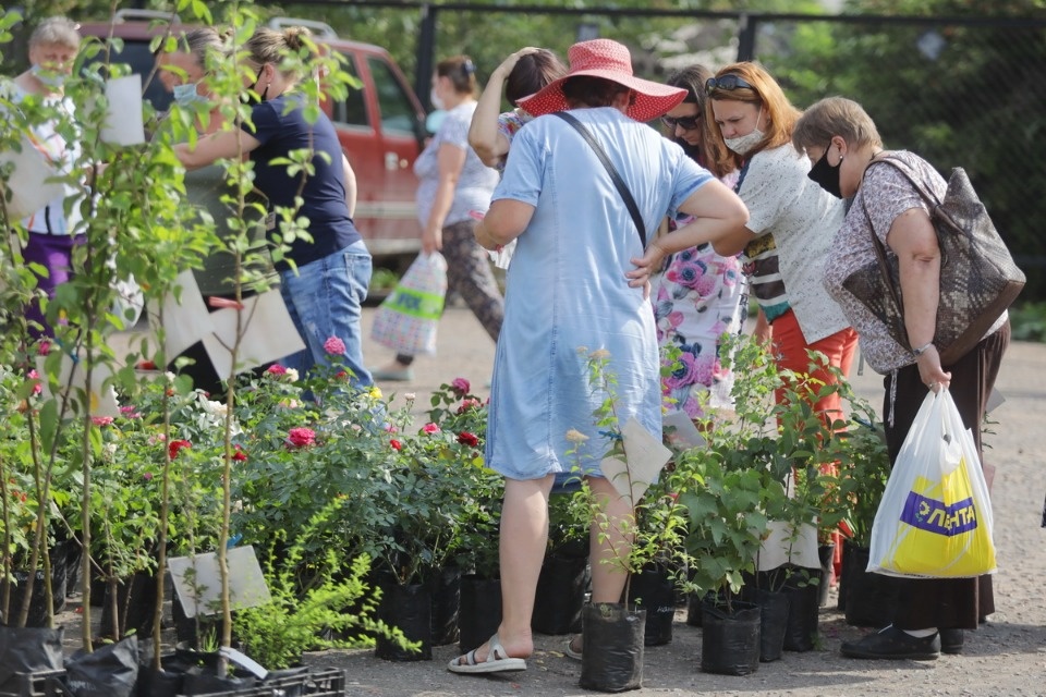 Рыночные отношения Рыночные отношения