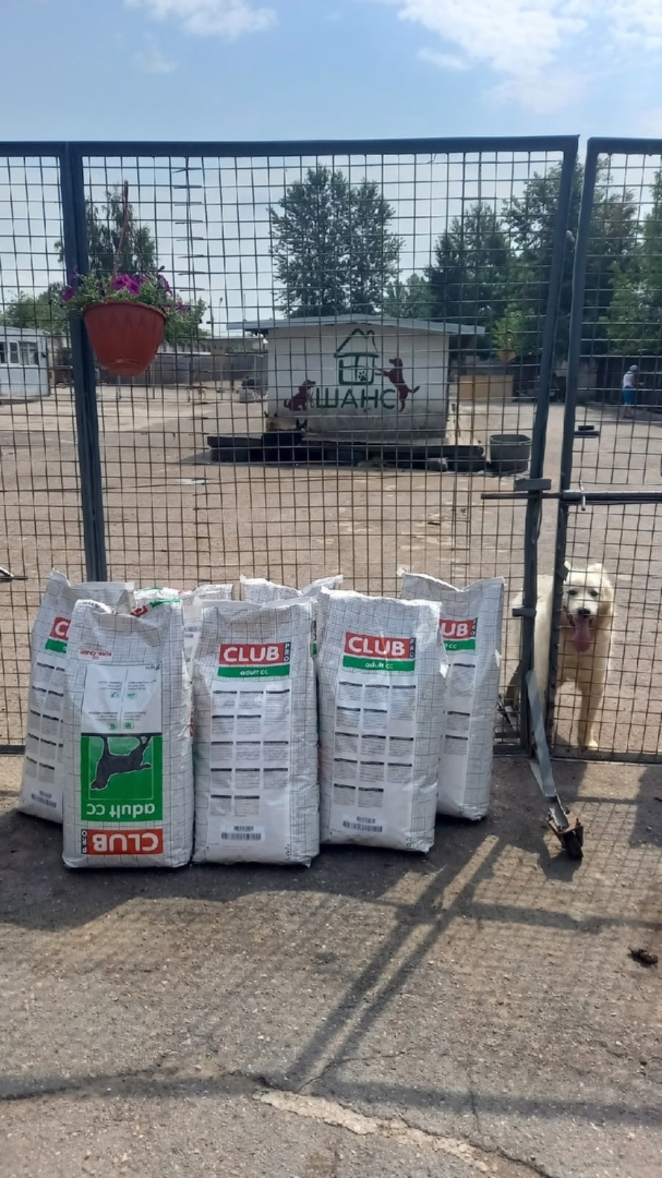 День без воды