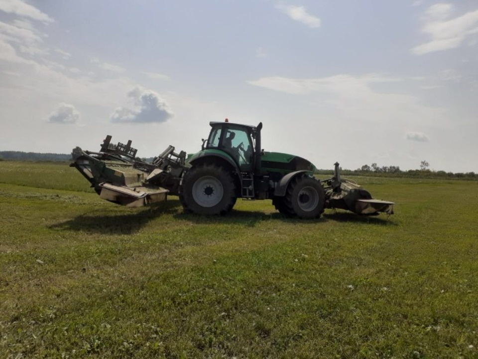 53% плана по заготовке кормов уже выполнили псковские сельхозпредприятия