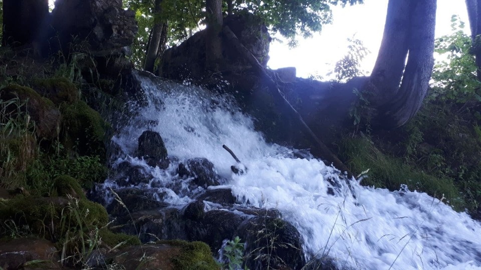 Прохладная погода в Псковской области  сохранится ещё три-четыре дня