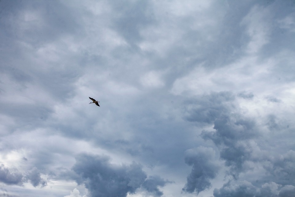 Ветер и паруса в небе