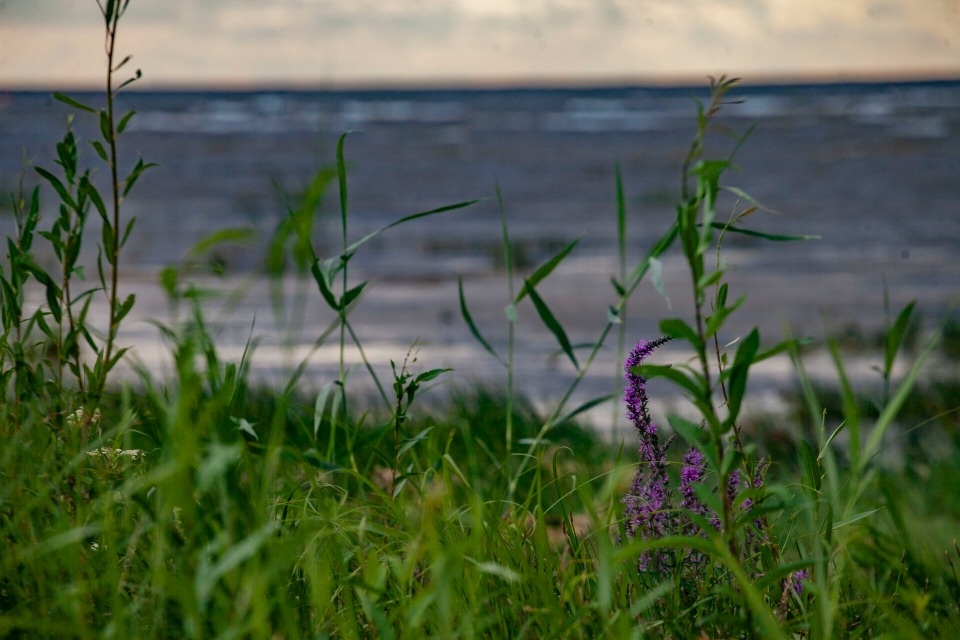 Ветер и паруса в небе