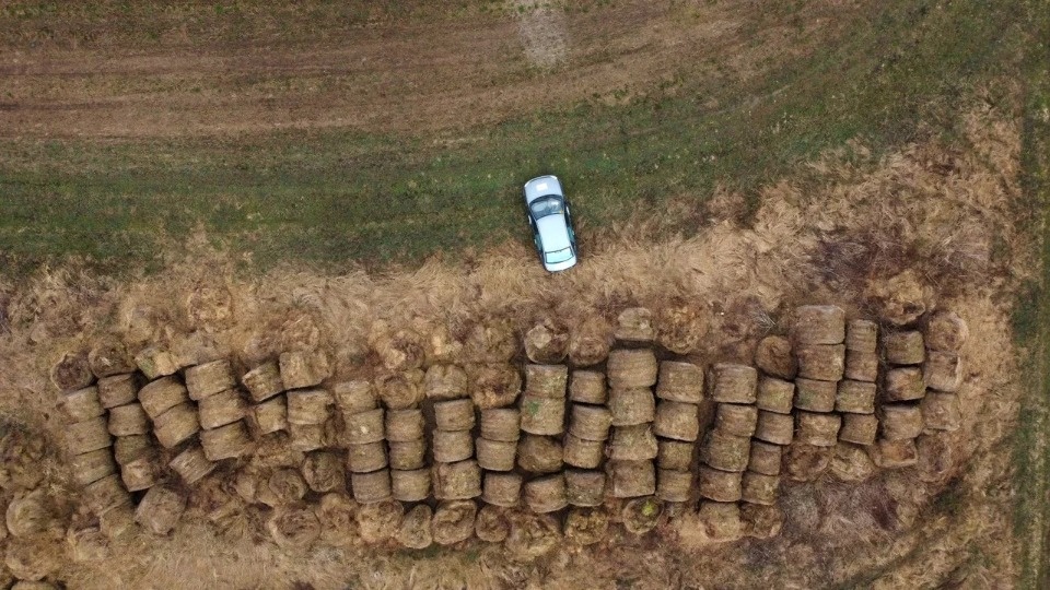 Борьба с борщевизмом