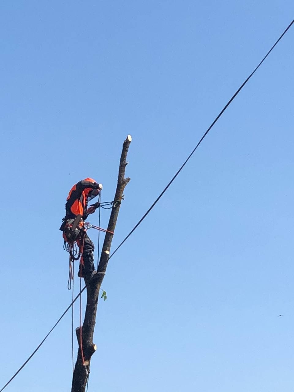 Здание бывшего управления рынками в Пскове будет сдано в аренду