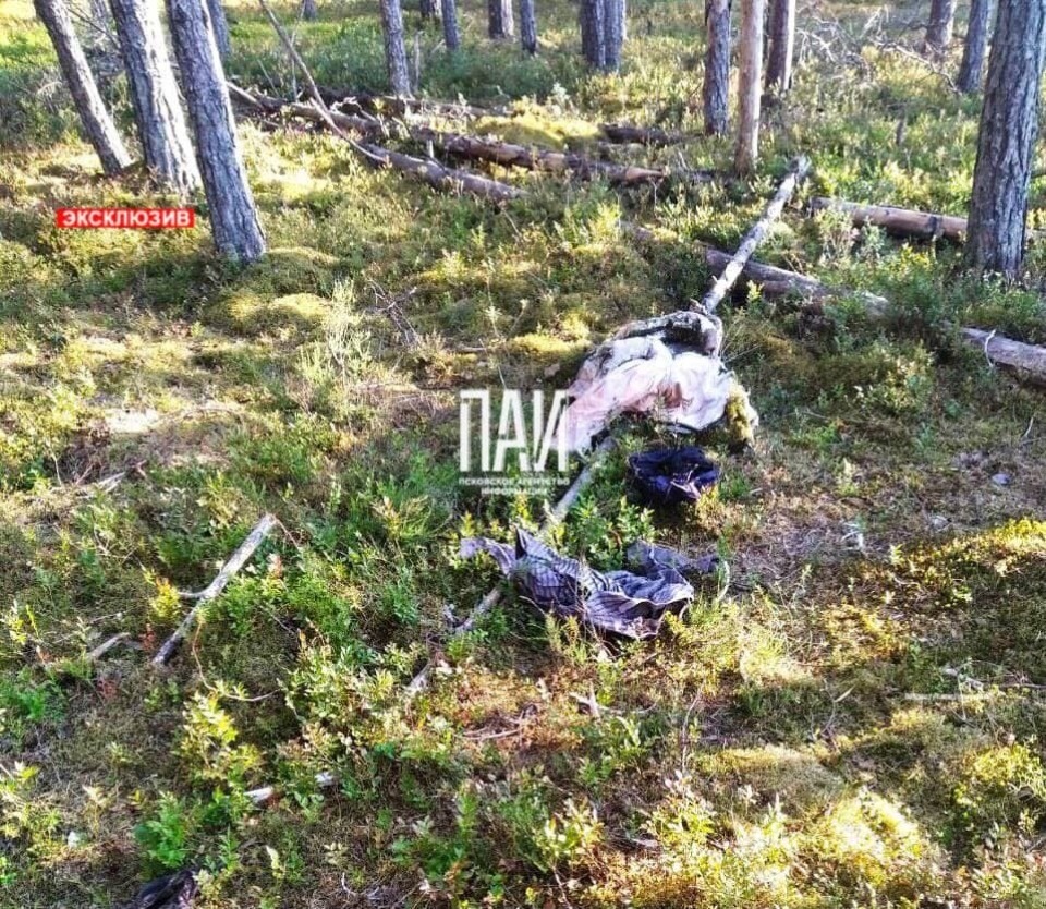 Скелетированные останки человека обнаружены в Гдовском районе