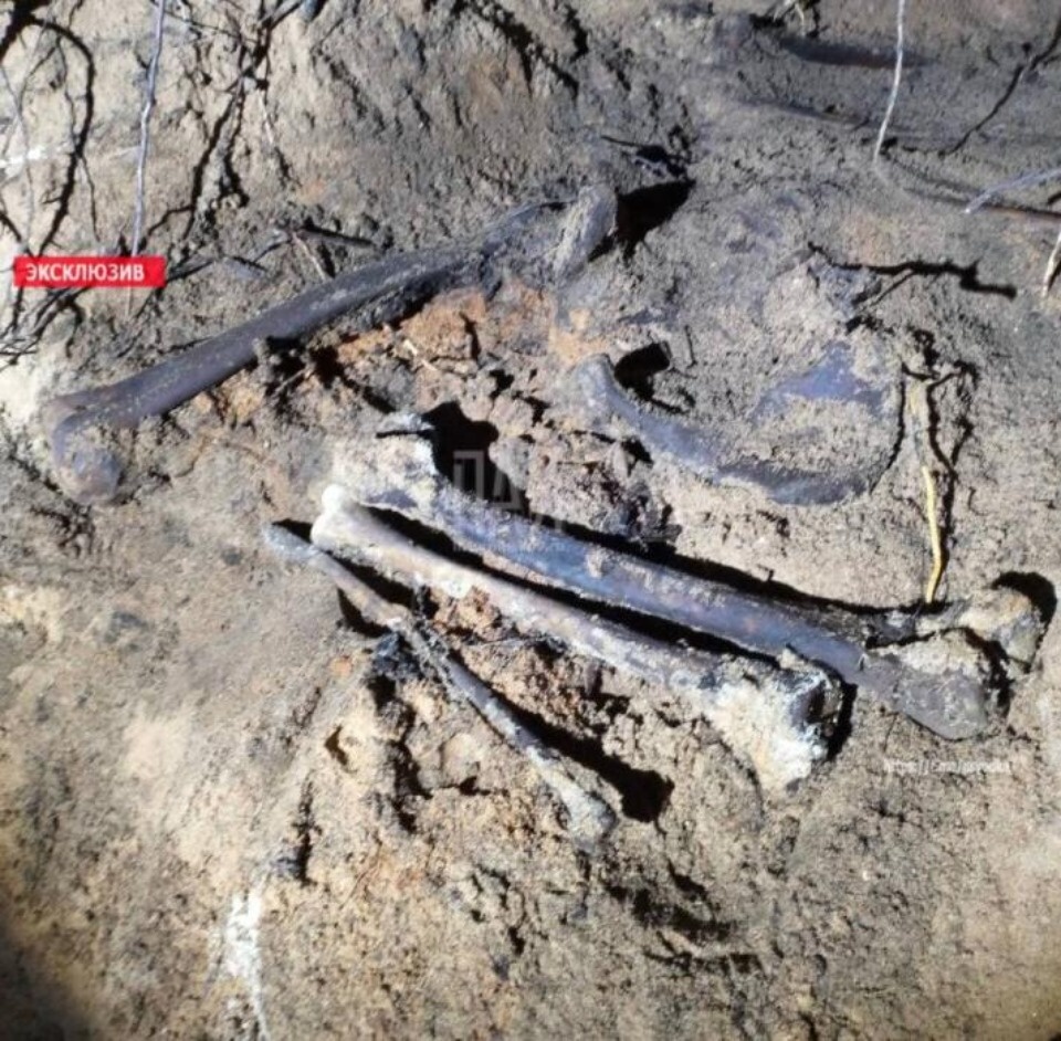 Человеческие кости нашли в Пыталовском районе