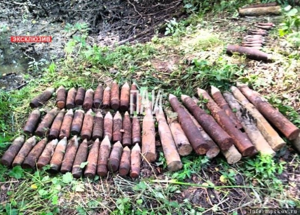 Шестьдесят снарядов и мин нашли в Великолукском районе