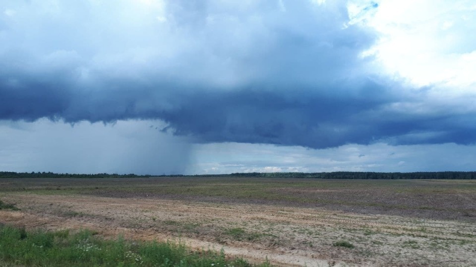 2 августа в Псковской области будет дождливым