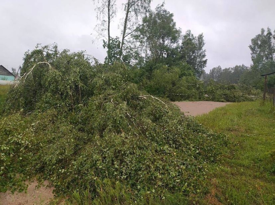 Почти 180 населённых пунктов Псковской области остались без света из-за циклона «Гвидо»  