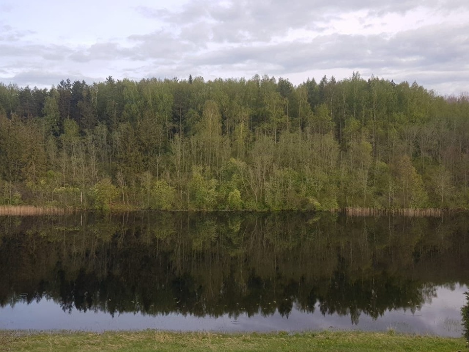 Тёплый, но дождливый день ждёт псковичей 7 августа