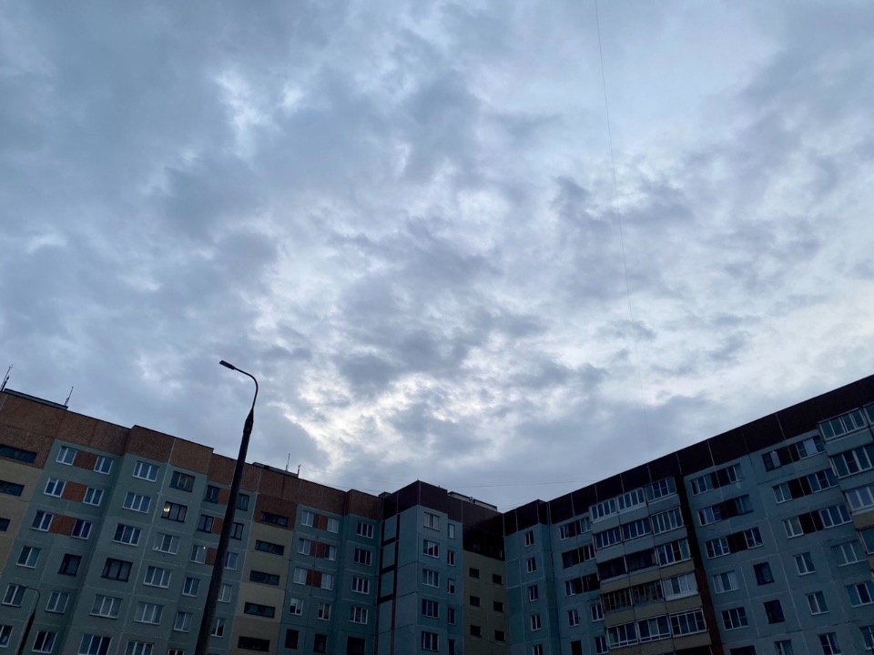 До 26 градусов тепла обещают псковичам 8 августа 