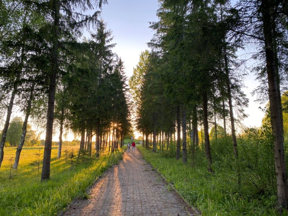 До 26 градусов и кратковременные дожди обещают в Псковской области 14 августа