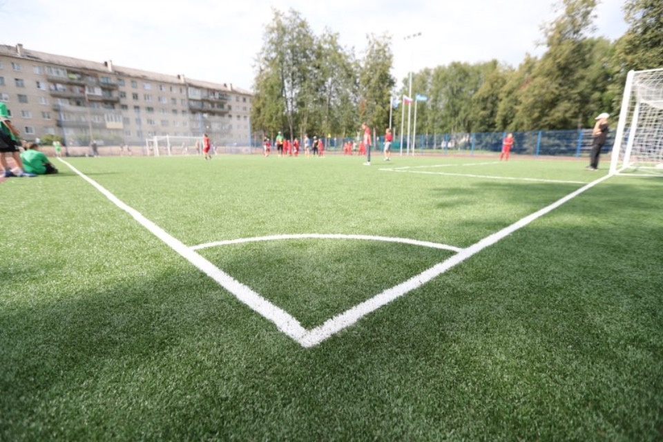 Новый пришкольный стадион появился в Дновском районе