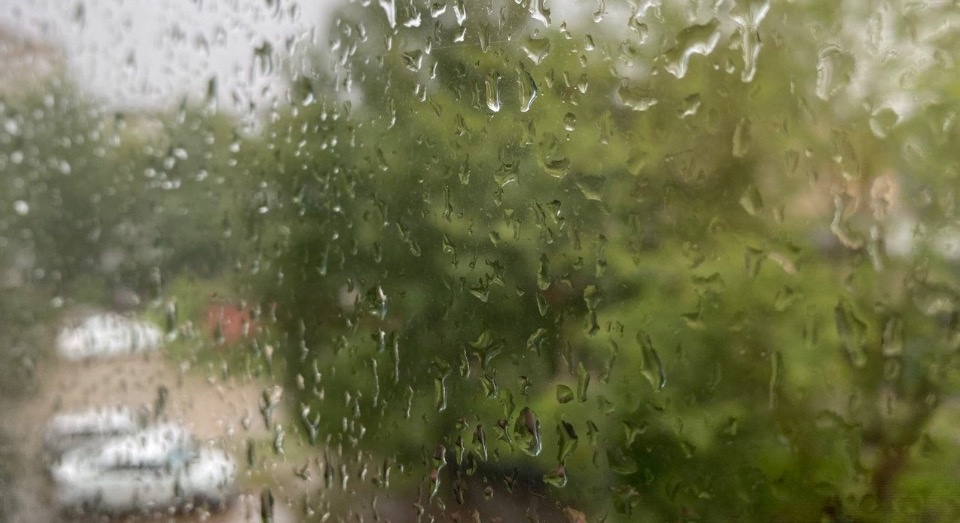 Циклон с дождями накроет Псковскую область 17 августа