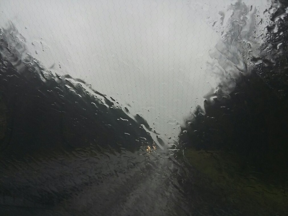 Дожди и грозы ожидаются местами в Псковской области 19 августа