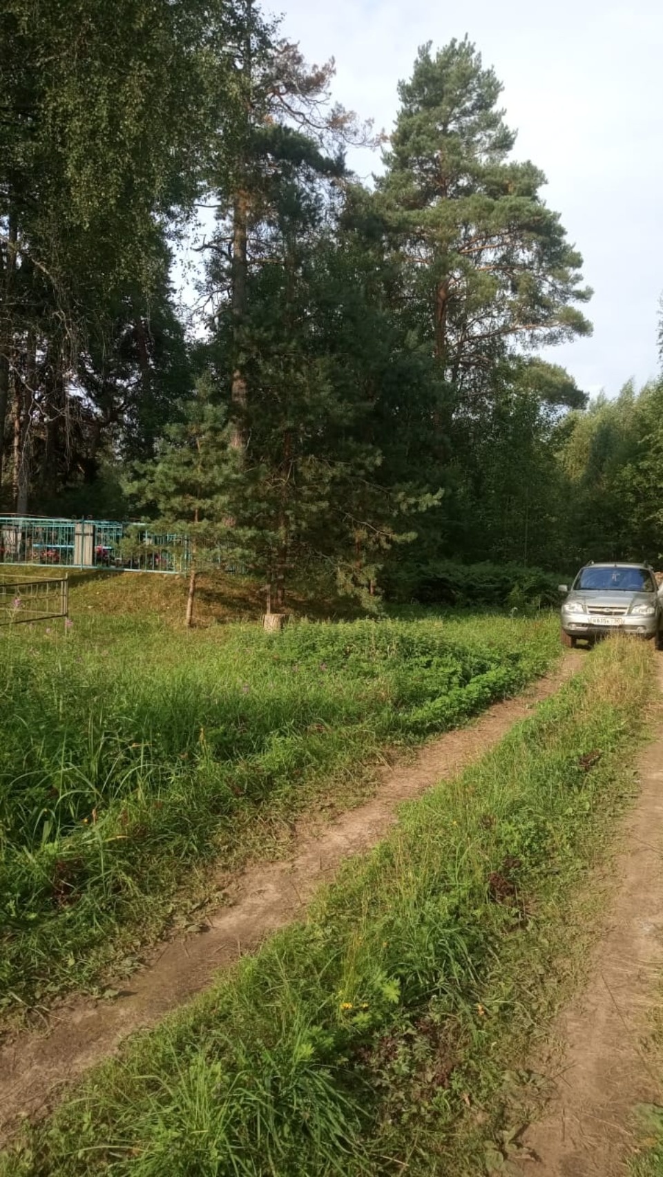 Дорога на кладбище