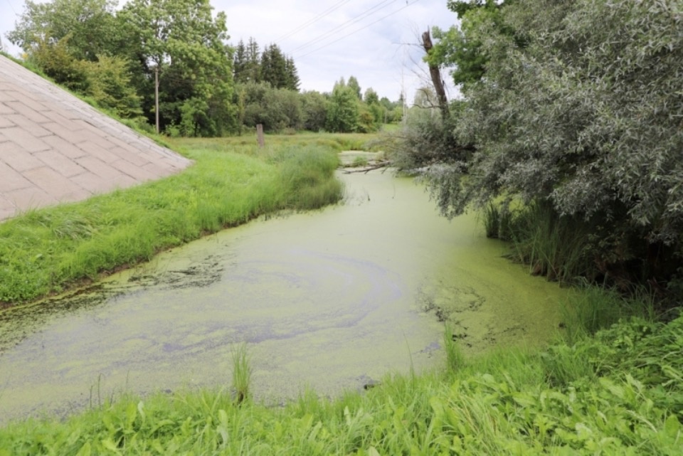Островские полицейские спасли утопающего в ручье Карповка мужчину