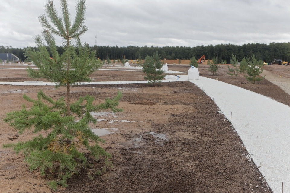 Команда «Стройся!» Команда «Стройся!»