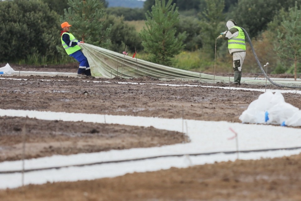Команда «Стройся!» Команда «Стройся!»